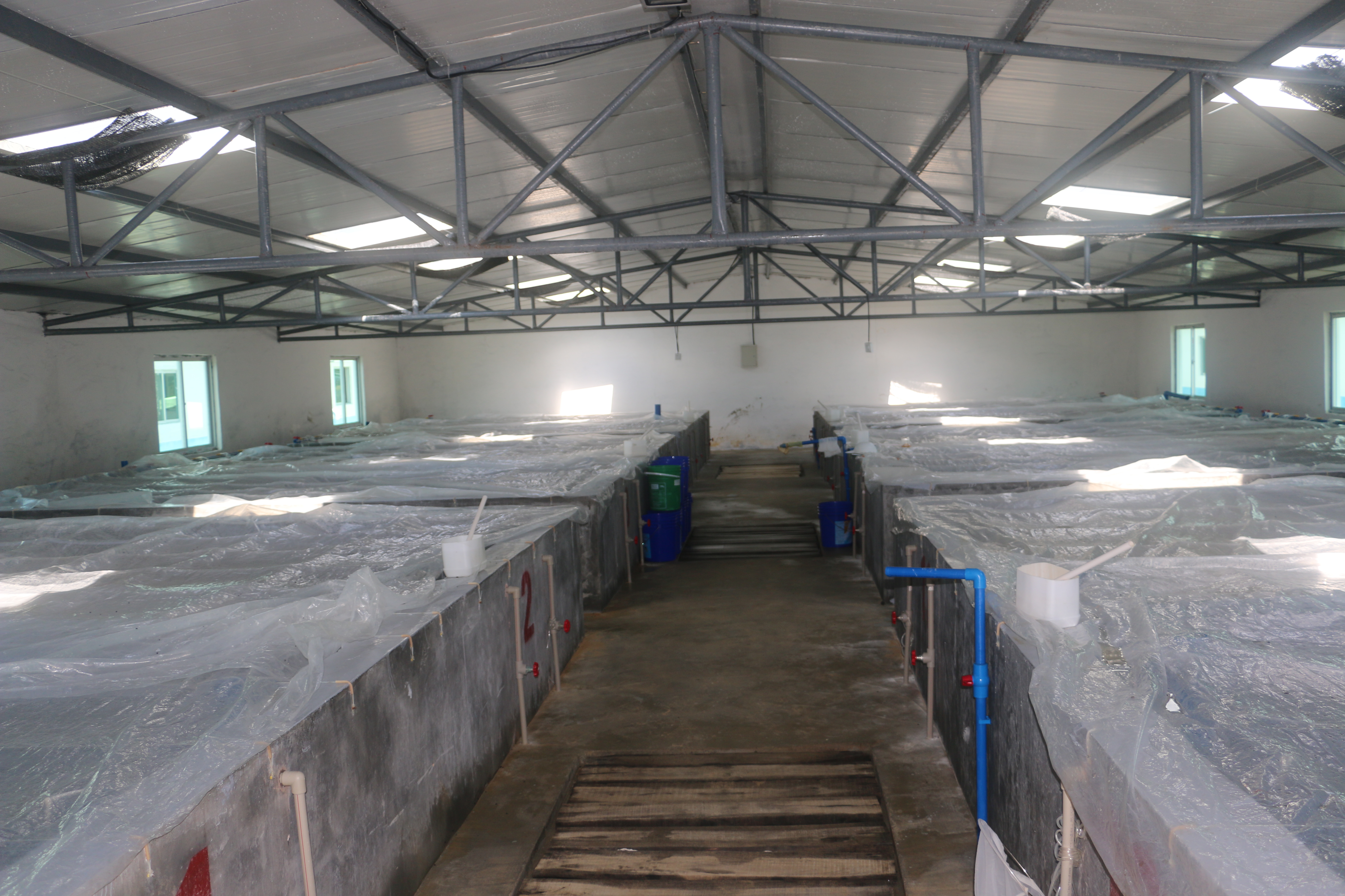 标准化育苗车间