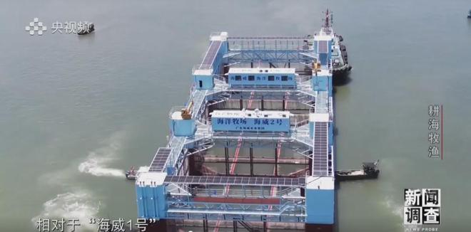 央视《新闻调查》重磅聚焦，湛江水产养殖“游”向深远海